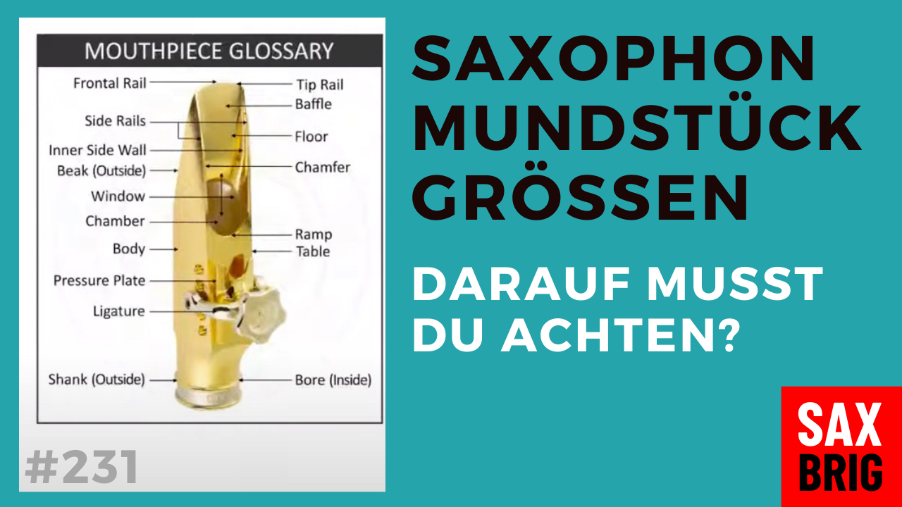 Saxophon Mundstück